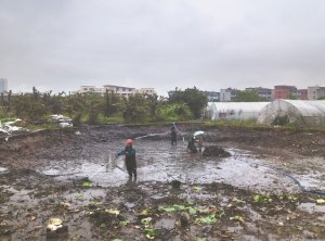 三河河道鱼塘清淤